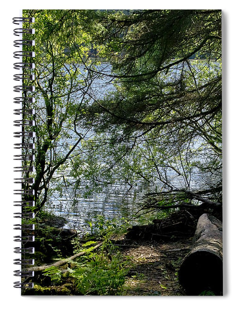 Beecraigs Spiral Notebook featuring the photograph Near water of the forest lake. by Elena Perelman