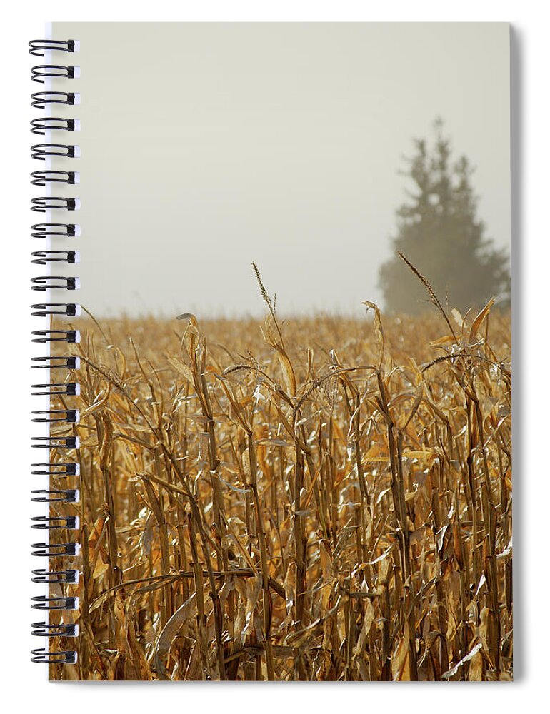 Pines Spiral Notebook featuring the photograph Neighborhood Pines by Troy Stapek