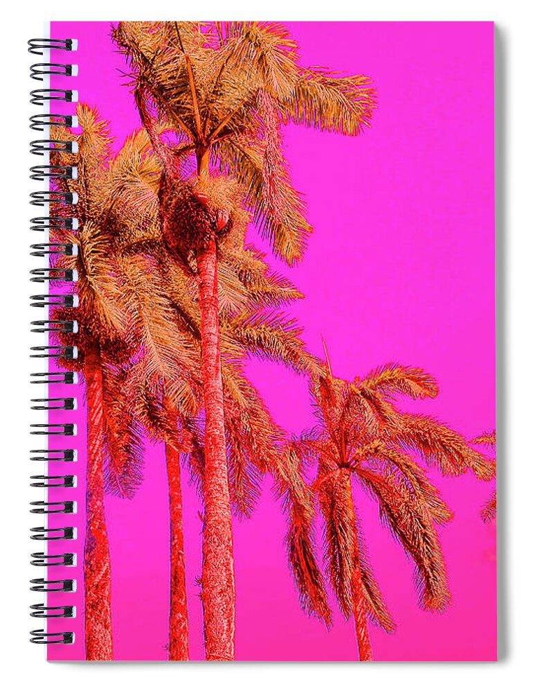 Pop Art Spiral Notebook featuring the photograph Neon Tropics by Onedayoneimage Photography