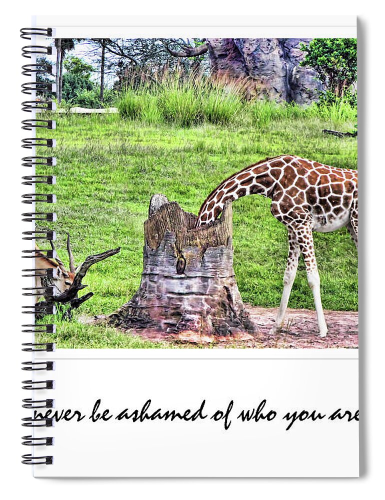 Giraffe Spiral Notebook featuring the photograph Never Be Ashamed by Traci Cottingham