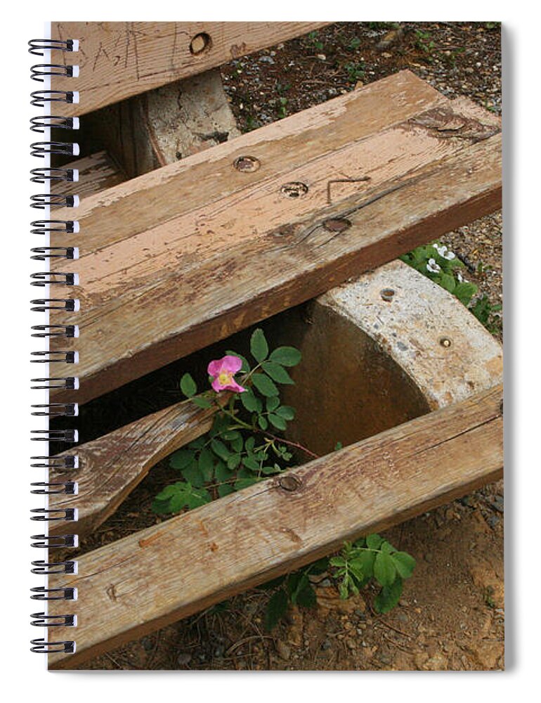 People Nature Spiral Notebook featuring the photograph Never Fading Nature by Mary Mikawoz