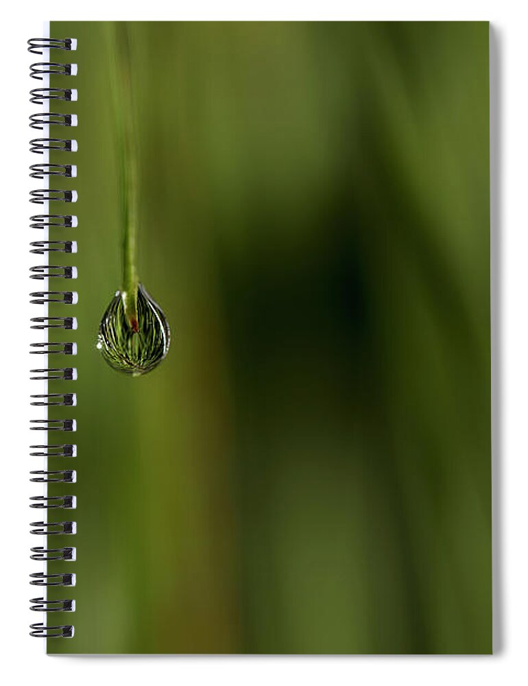 Water Drop Spiral Notebook featuring the photograph Never Let Go by Mike Eingle