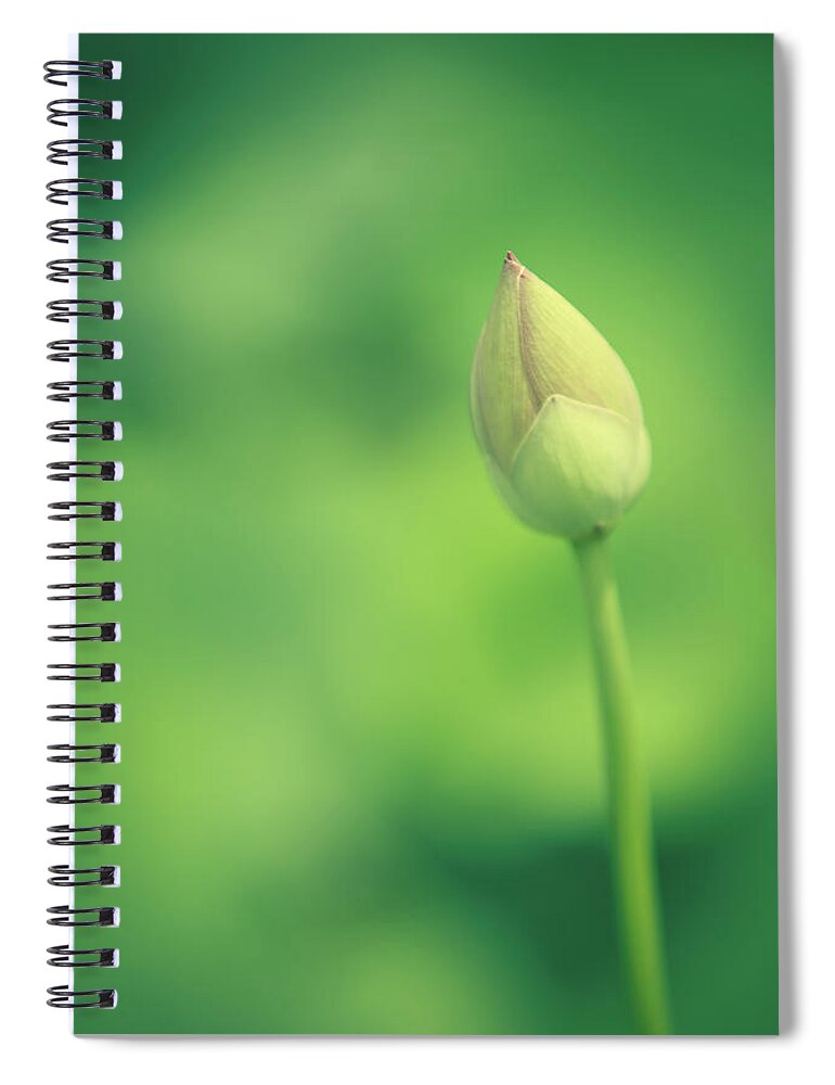 2017 Spiral Notebook featuring the photograph New Beginnings by Wade Brooks