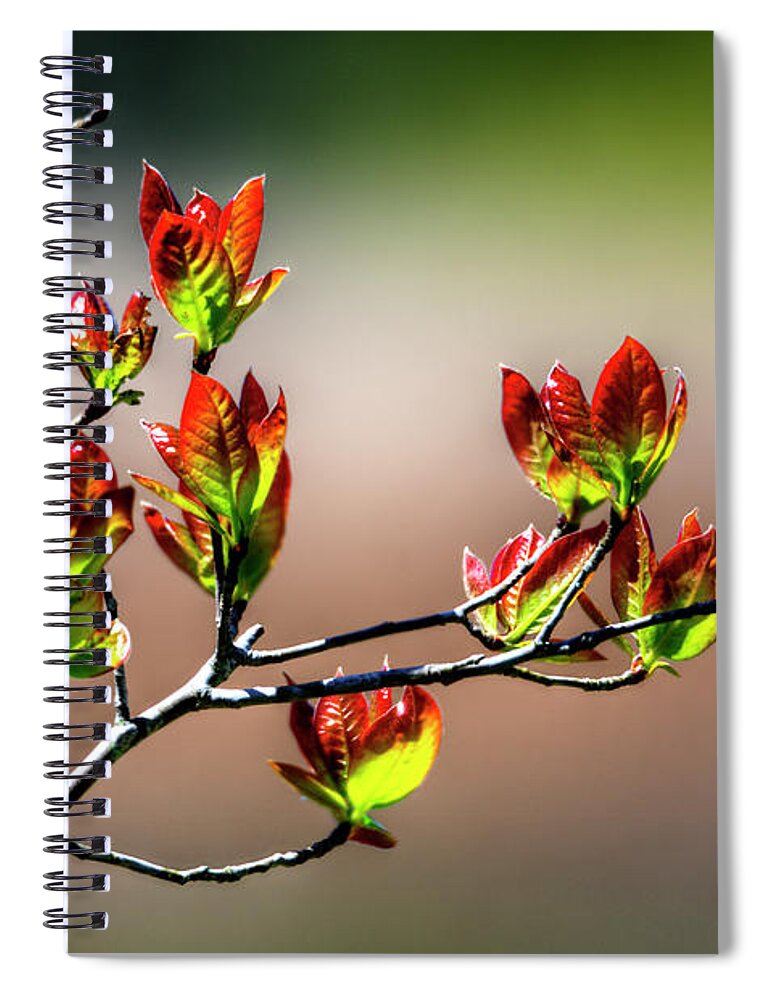 New Growth Spiral Notebook featuring the photograph New Growth by Paul Mashburn