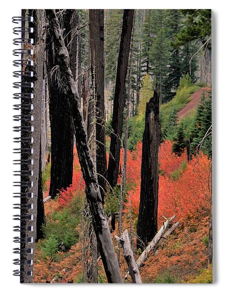 Oregon Spiral Notebook featuring the photograph New Life by Merle Grenz