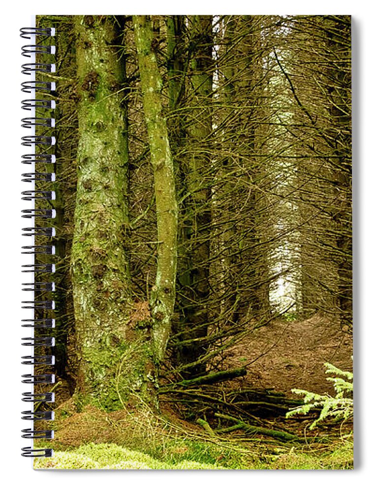 Fur Tree Spiral Notebook featuring the photograph Newcomer by Elena Perelman