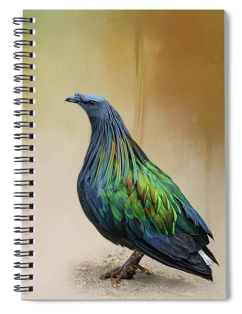 Nicobar Pigeon Spiral Notebook featuring the photograph Nicobar Pigeon by Eva Lechner