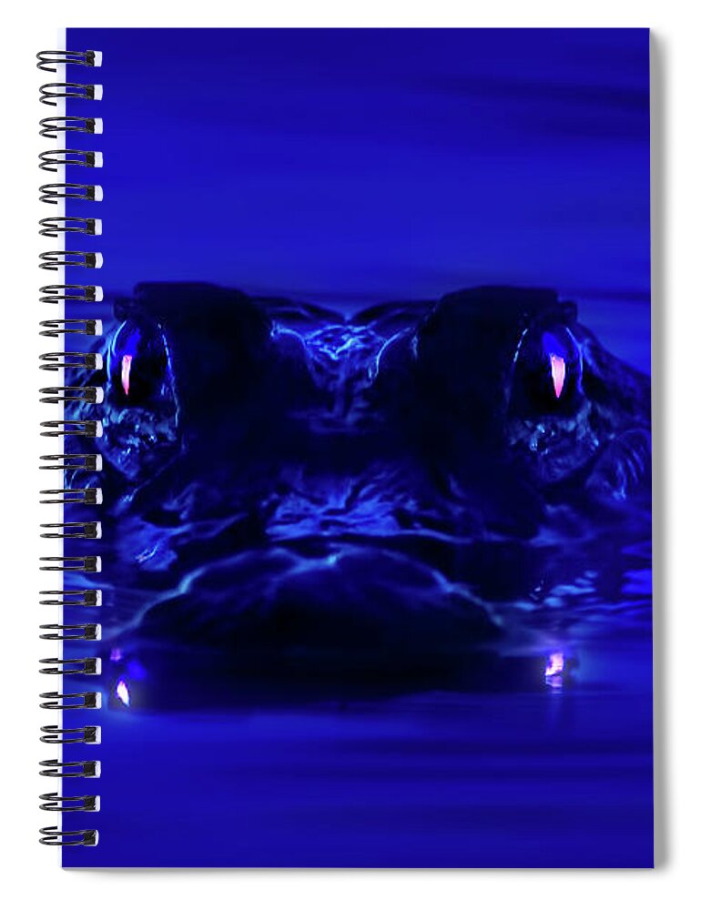 Alligator Spiral Notebook featuring the photograph Night Watcher by Mark Andrew Thomas