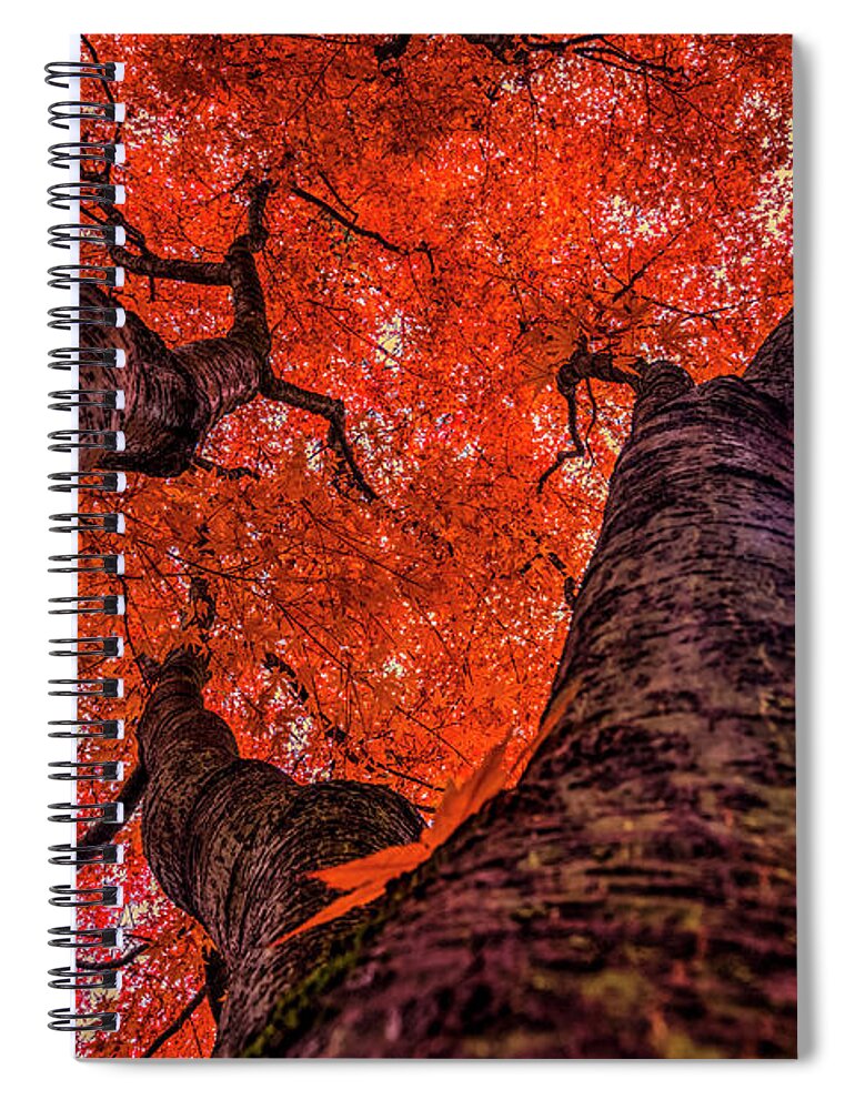 Fall Spiral Notebook featuring the photograph Nishinomiya Japanese Garden - Autumn Trees 2 by Mark Kiver