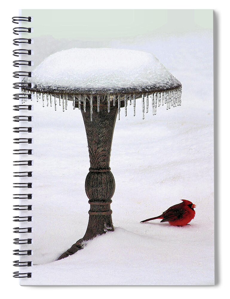 Snow Spiral Notebook featuring the photograph No Bath Today by Kristin Elmquist