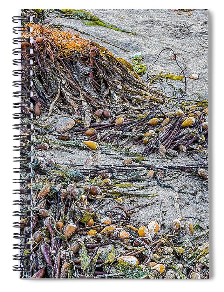 Cayucos Spiral Notebook featuring the photograph Cayucos State Beach Flotsam Abstract by Patti Deters