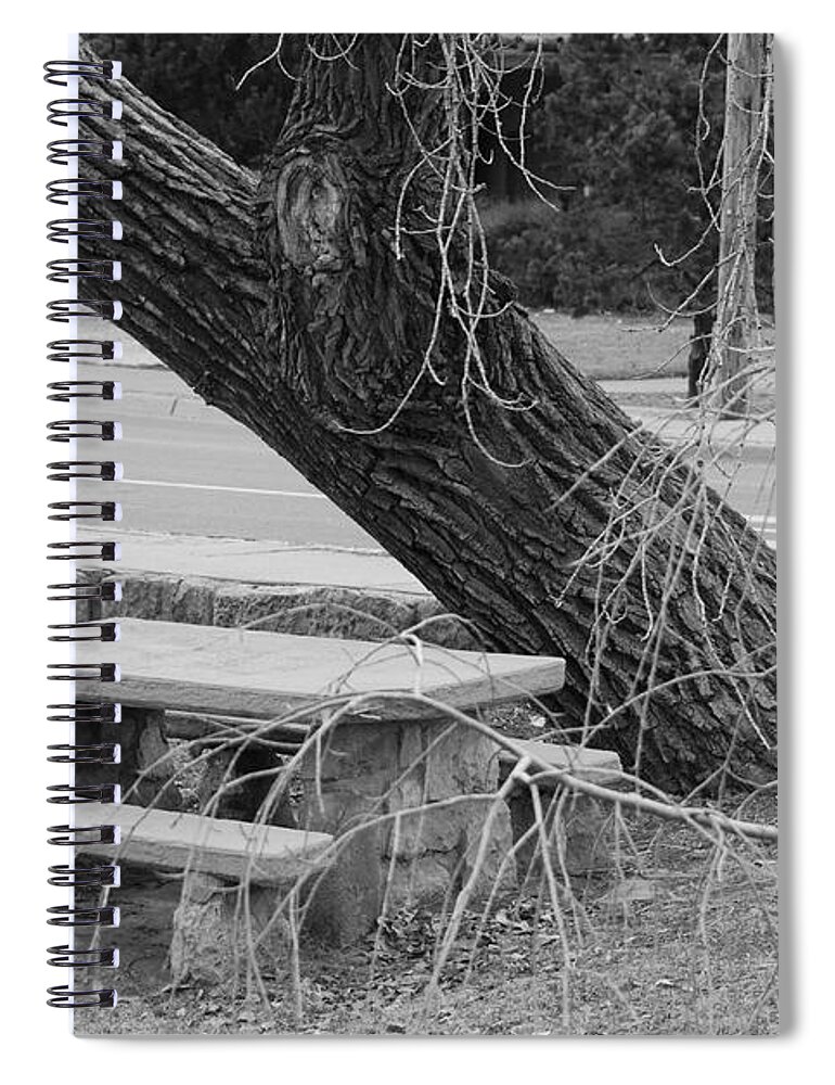 Trees Spiral Notebook featuring the photograph NO ONE SITS HERE in BLACK AND WHITE by Rob Hans