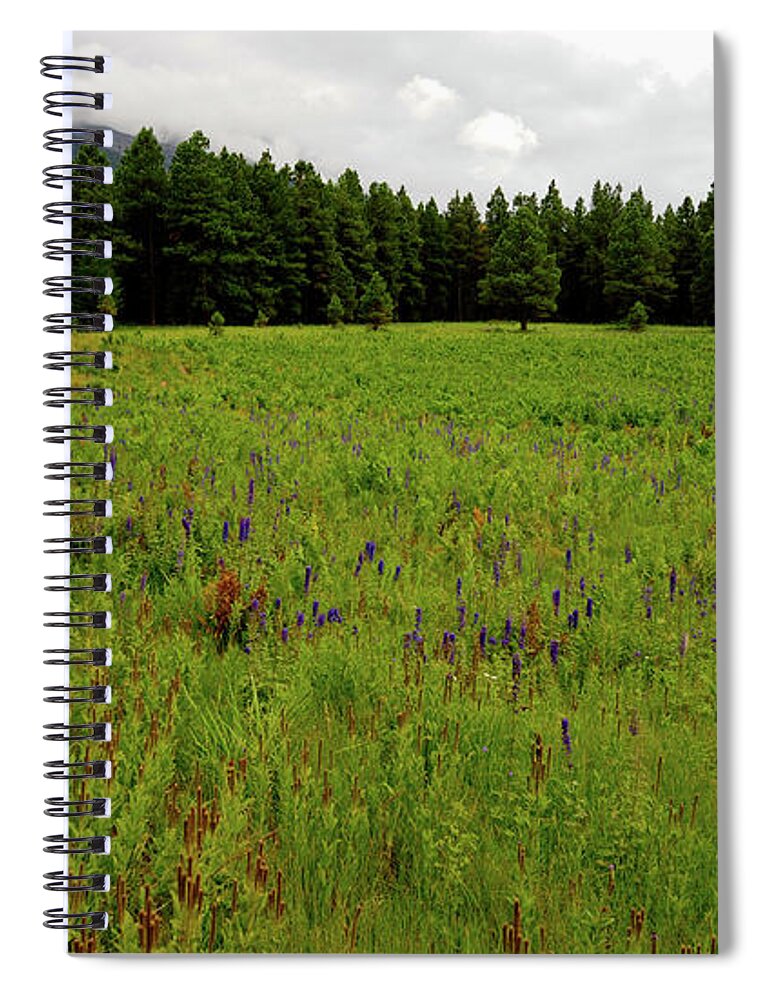 Flowers Spiral Notebook featuring the photograph Northern Arizona Meadow by Scott Sawyer