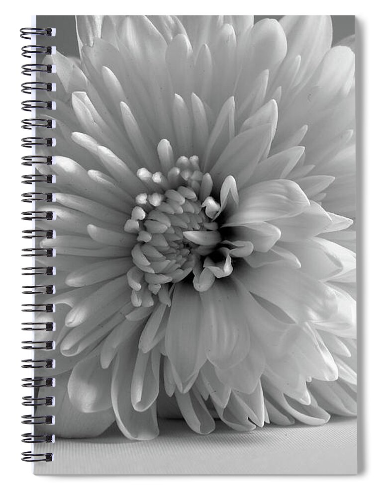Black And White Spiral Notebook featuring the photograph Nostalgia by Onedayoneimage Photography