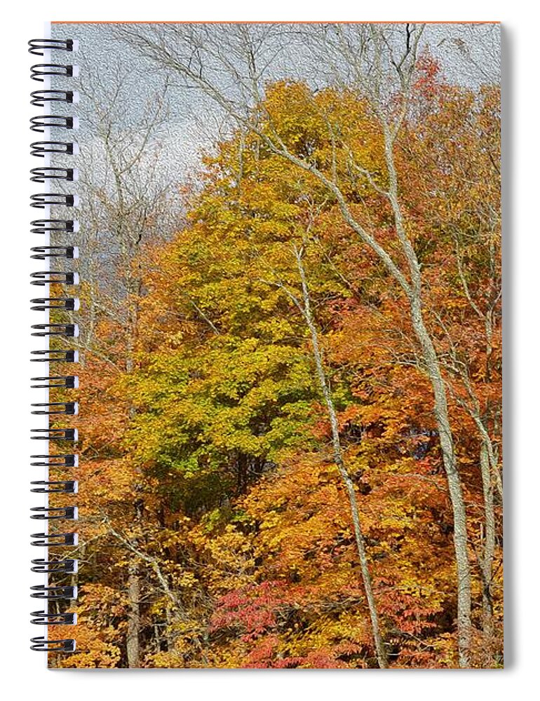  Spiral Notebook featuring the photograph November Colors by Sonali Gangane
