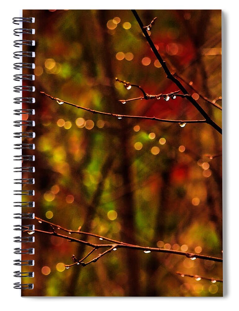 Rain Spiral Notebook featuring the photograph November Rain by Terry Doyle