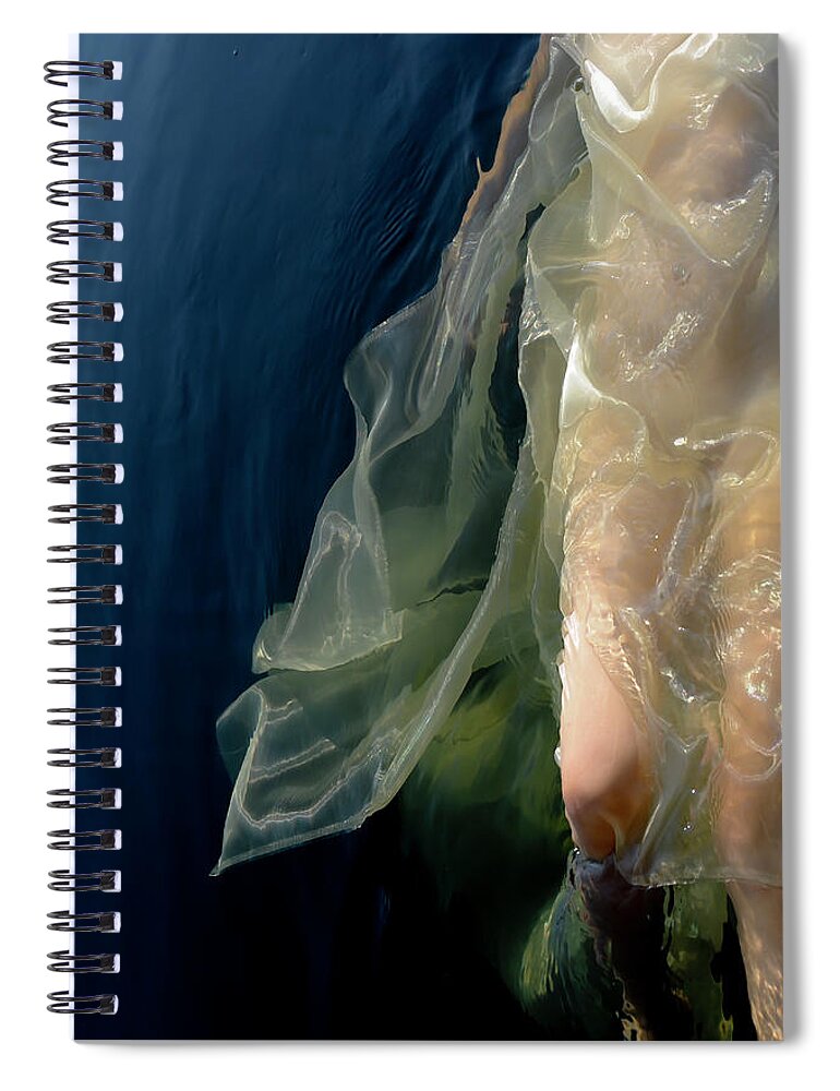  Spiral Notebook featuring the photograph Damselfly by Adele Aron Greenspun