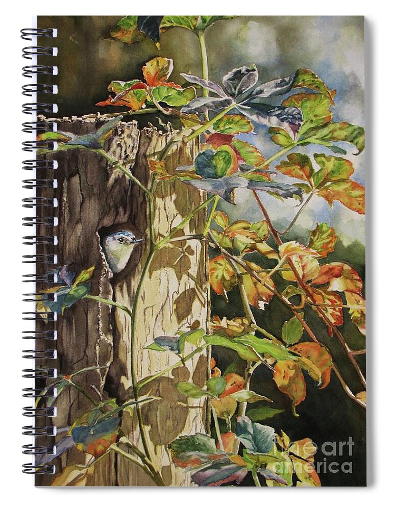 Nuthatch Spiral Notebook featuring the painting Nuthatch and Creeper by Greg and Linda Halom