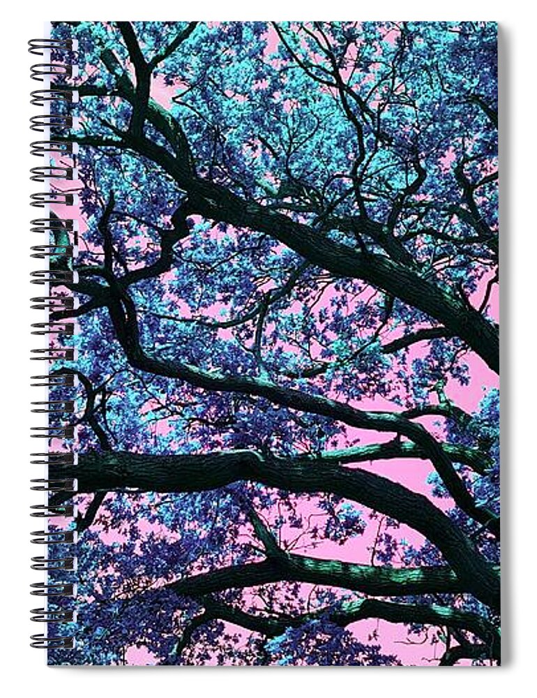  Spiral Notebook featuring the photograph Oak Above In Electric blue by Rowena Tutty