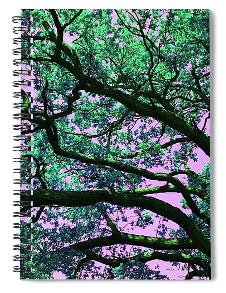  Spiral Notebook featuring the photograph Oak Above In Emerald Green by Rowena Tutty