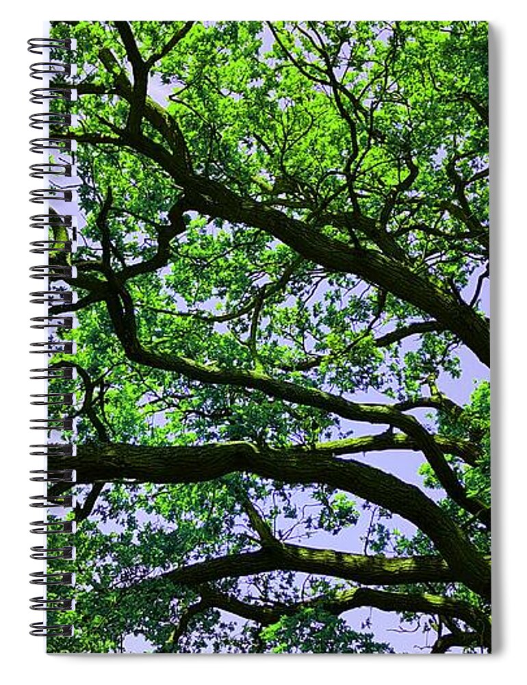  Spiral Notebook featuring the photograph Oak Above In Vivid Green by Rowena Tutty