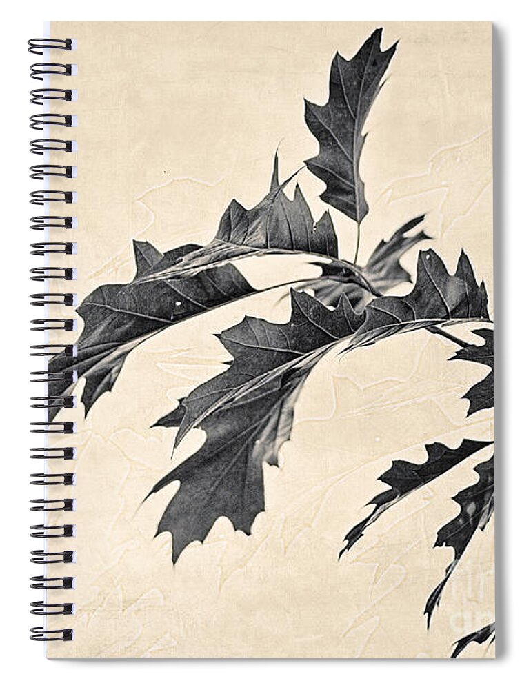 Oak Spiral Notebook featuring the photograph Oak by Linda Lees