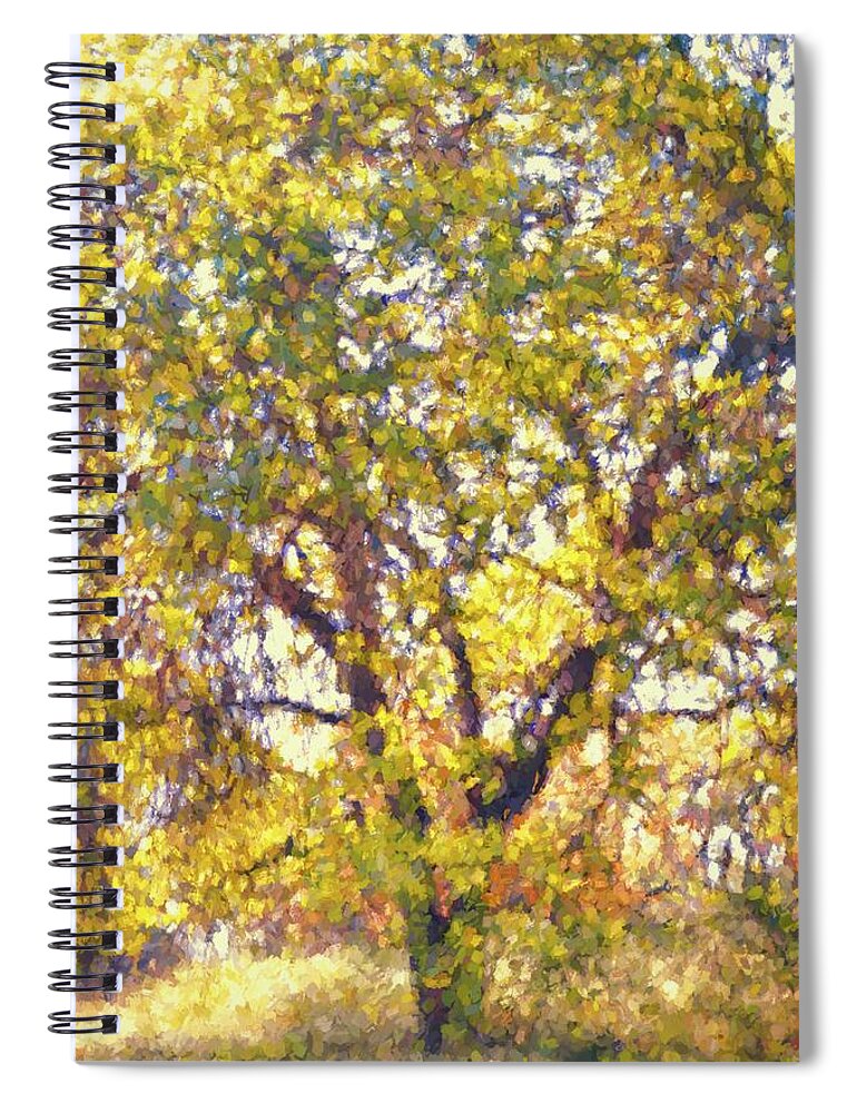 Tree Spiral Notebook featuring the photograph Oaks 29 by Pamela Cooper
