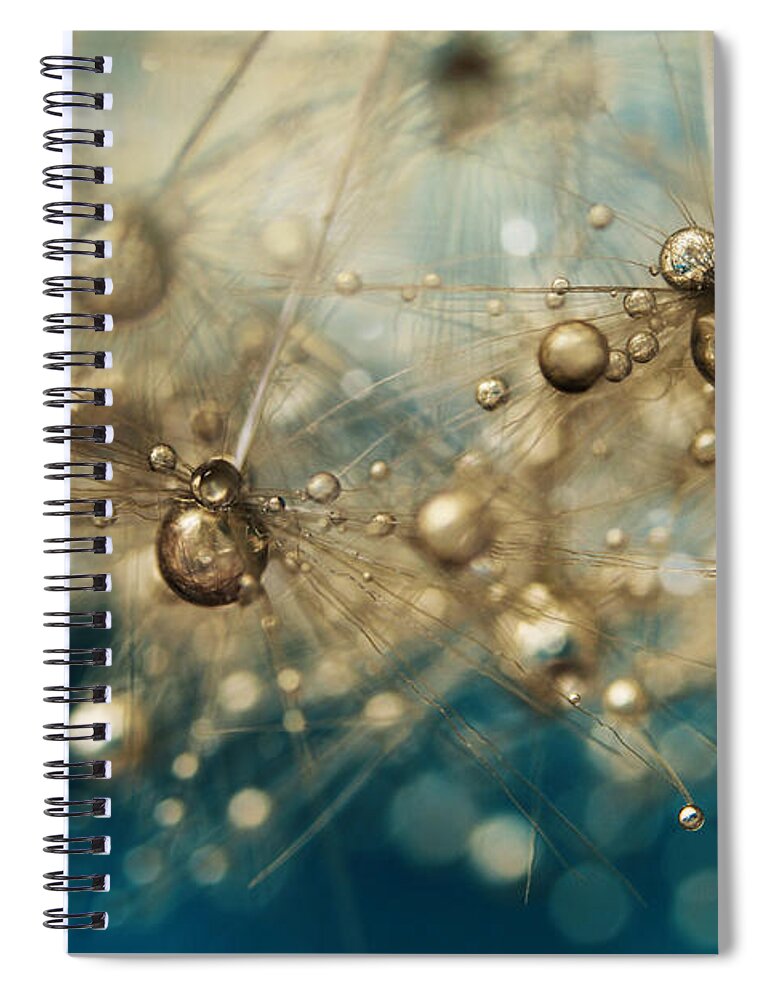 Dandelion Spiral Notebook featuring the photograph Ocean Deep Dandy Drops by Sharon Johnstone