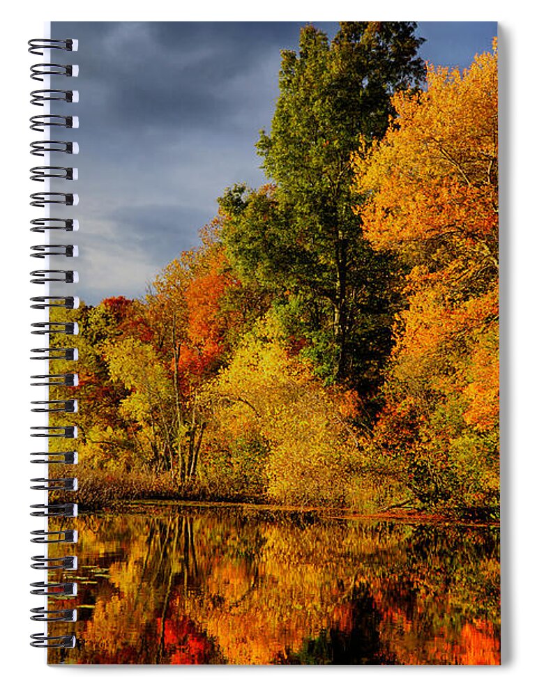 October Spiral Notebook featuring the photograph October Foliage by Lilia D