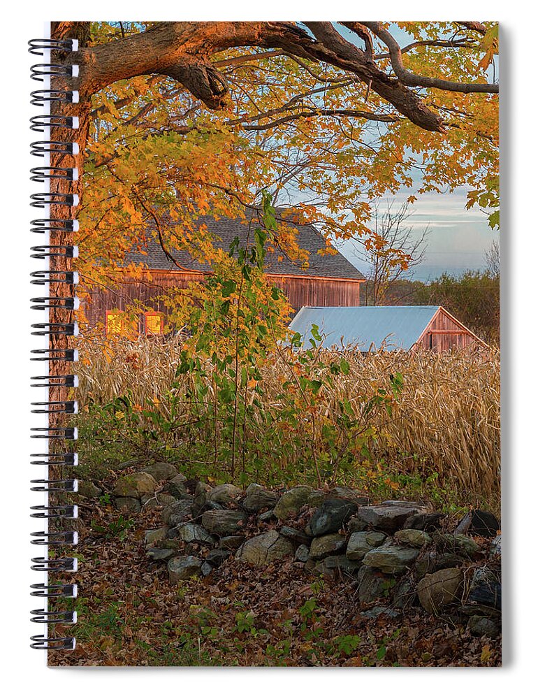 October Spiral Notebook featuring the photograph October Morning 2016 Square by Bill Wakeley