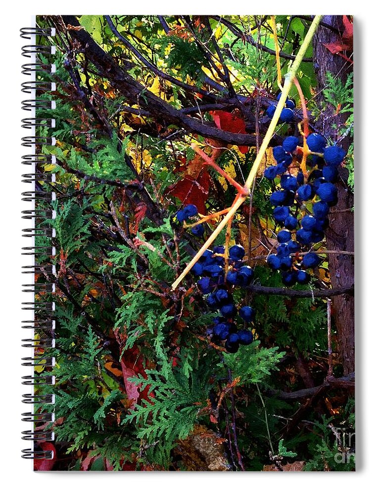 Autumn Spiral Notebook featuring the painting October Potpourri by RC DeWinter