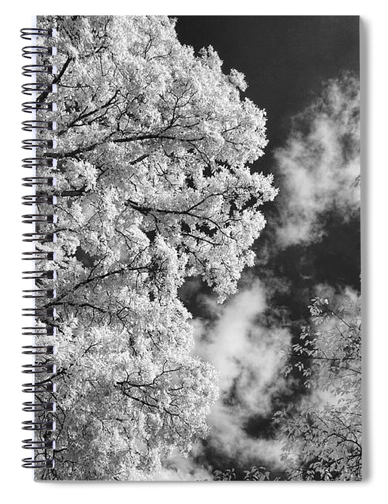 Infrared Spiral Notebook featuring the photograph October Sky IR by Michael McGowan