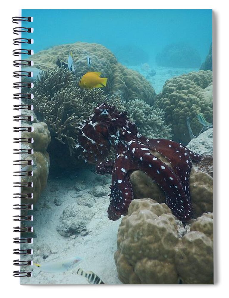 Outdoor Spiral Notebook featuring the photograph Octopus Reef 2 by Michael Scott
