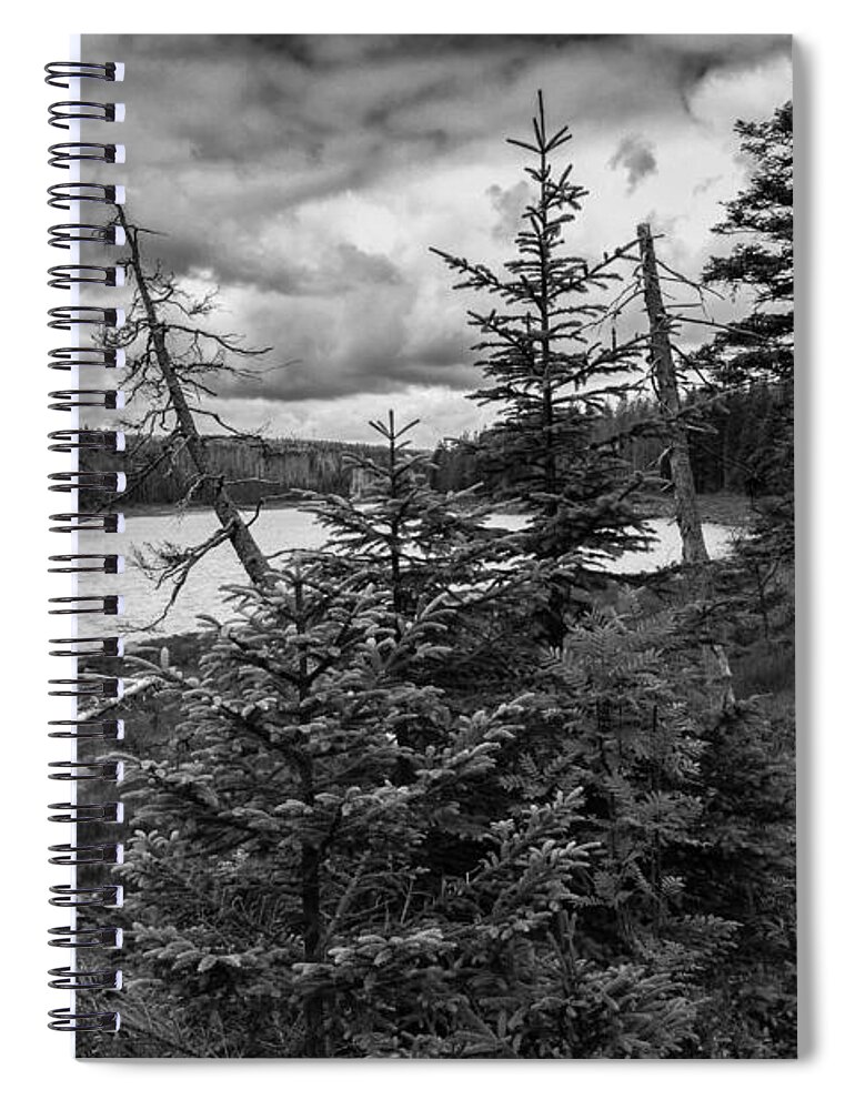 Nature Spiral Notebook featuring the photograph Oderteich,Upper Harz by Andreas Levi