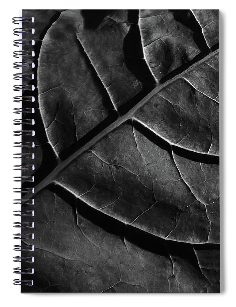 Plants Spiral Notebook featuring the photograph Of Mountains And Valleys by Skip Willits