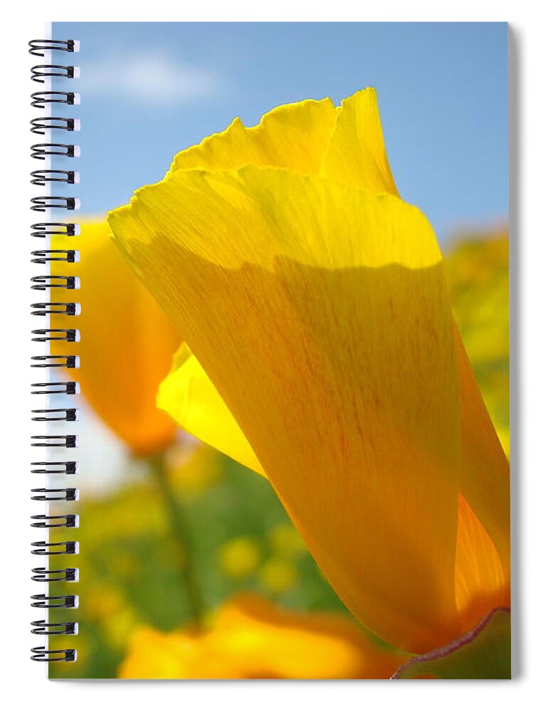 Office Spiral Notebook featuring the photograph OFFICE ART Prints Poppy Flowers 3 Poppies Giclee Prints Baslee Troutman by Patti Baslee