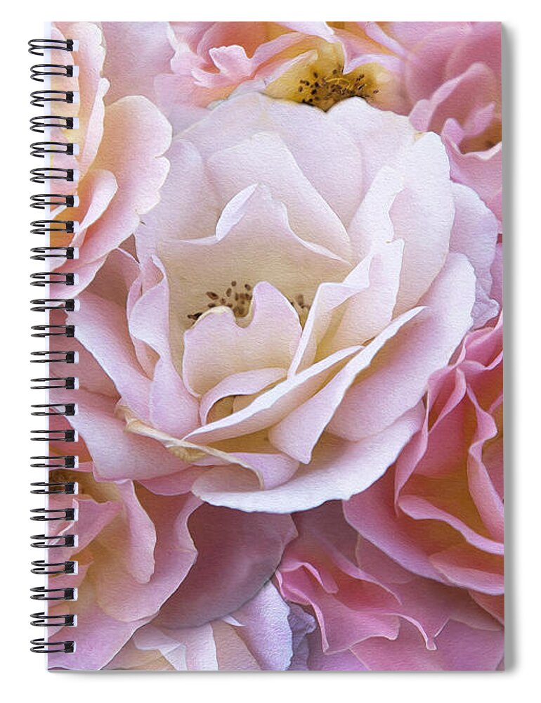 Digital Roses Spiral Notebook featuring the photograph Oh Glory Me by Theresa Tahara