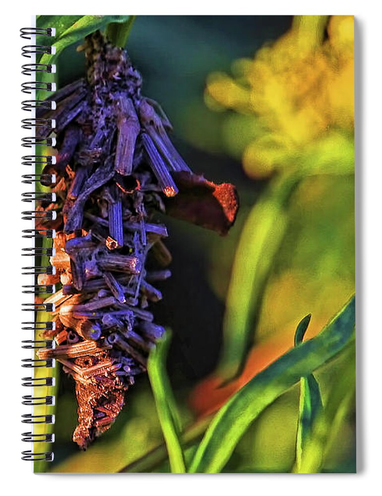 Oiketicus Abbotii Spiral Notebook featuring the photograph Oiketicus Abbotii by HH Photography of Florida