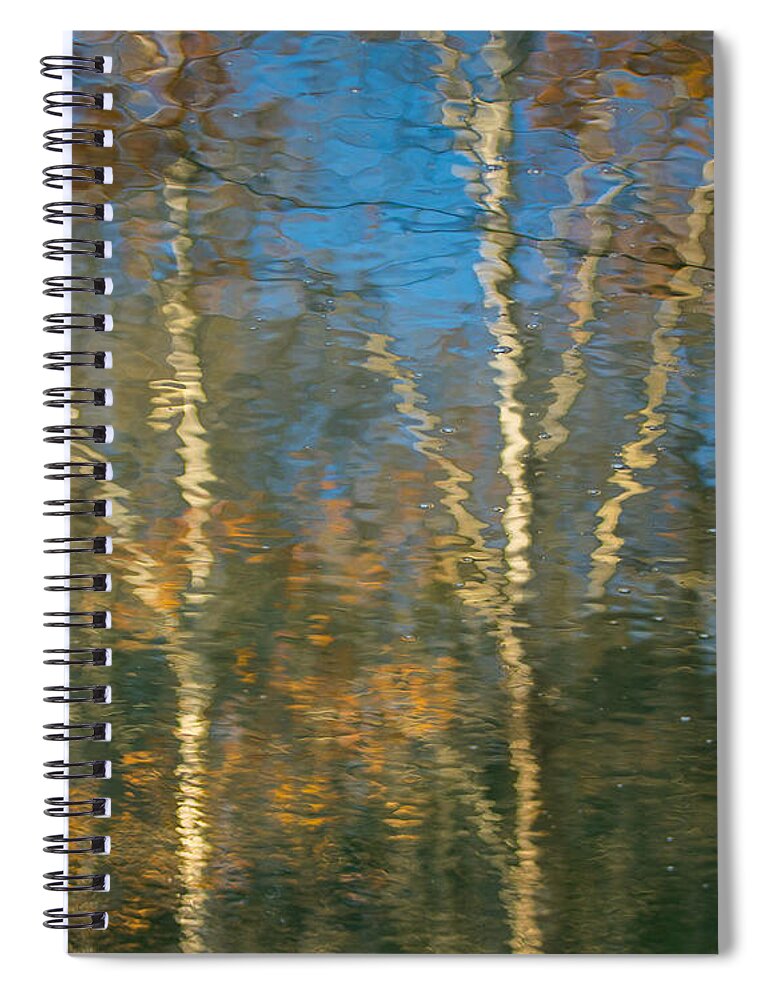 Art Spiral Notebook featuring the photograph Oil Painting Trees by Phil Spitze
