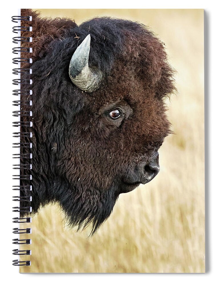 Travel Spiral Notebook featuring the photograph Old Man by Eilish Palmer
