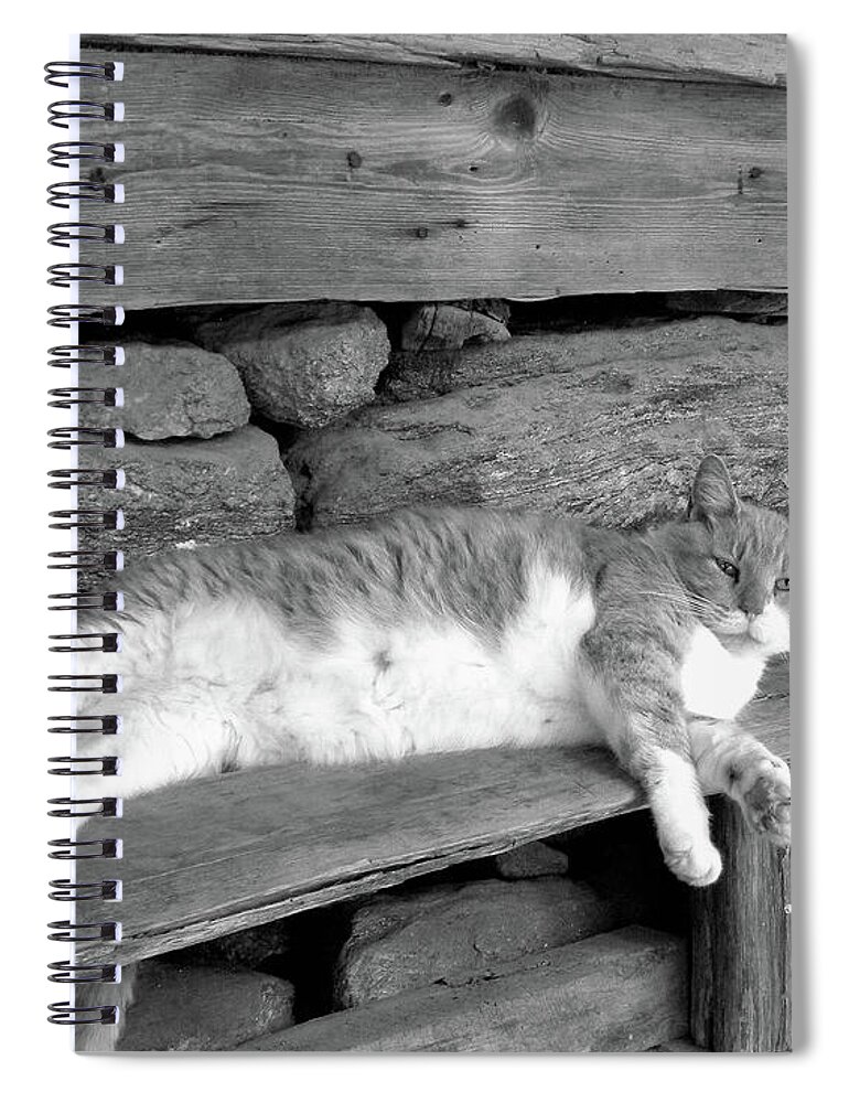 Cat Spiral Notebook featuring the photograph Old Mill Cat by Sandi OReilly