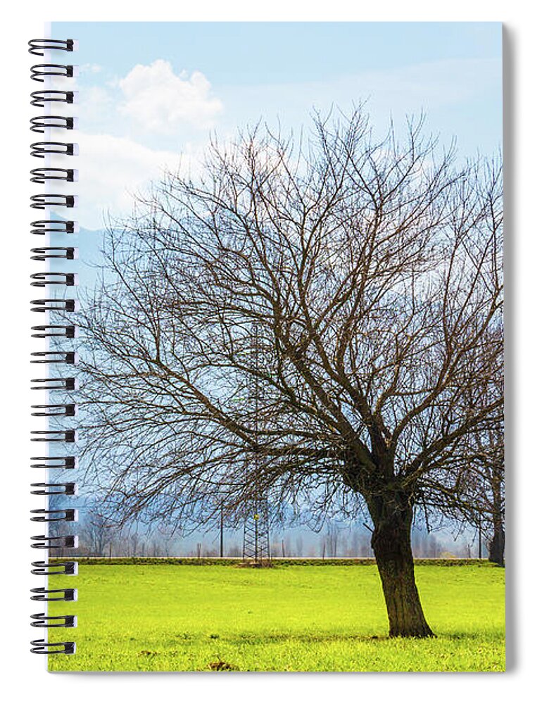 Dubino Spiral Notebook featuring the photograph Old Tree by Pavel Melnikov