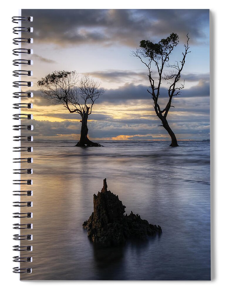 2015 Spiral Notebook featuring the photograph Old Trees by Robert Charity