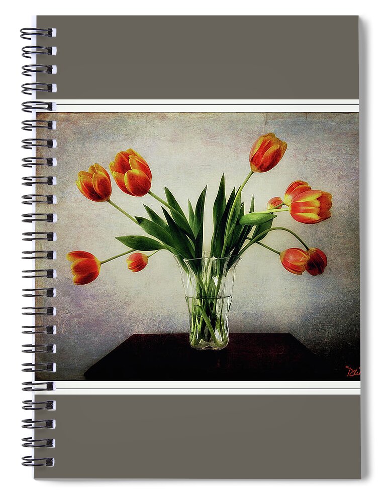 Tulips Spiral Notebook featuring the photograph Old World Tulips by Peggy Dietz