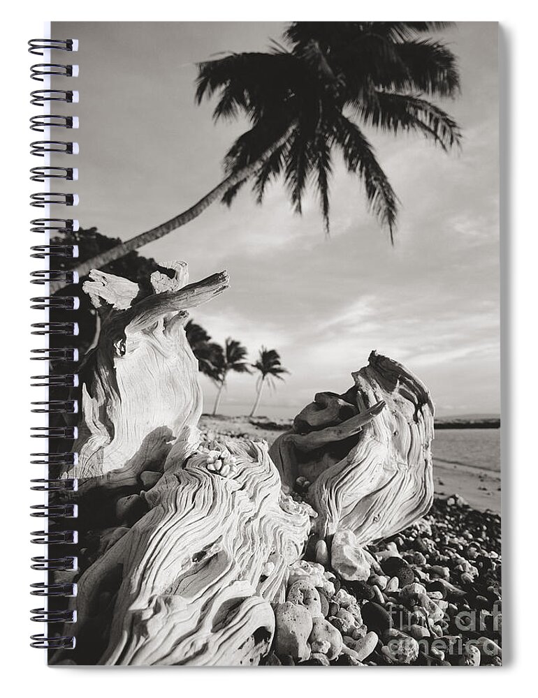 Afternoon Spiral Notebook featuring the photograph Olowalu Driftwood by Ron Dahlquist - Printscapes