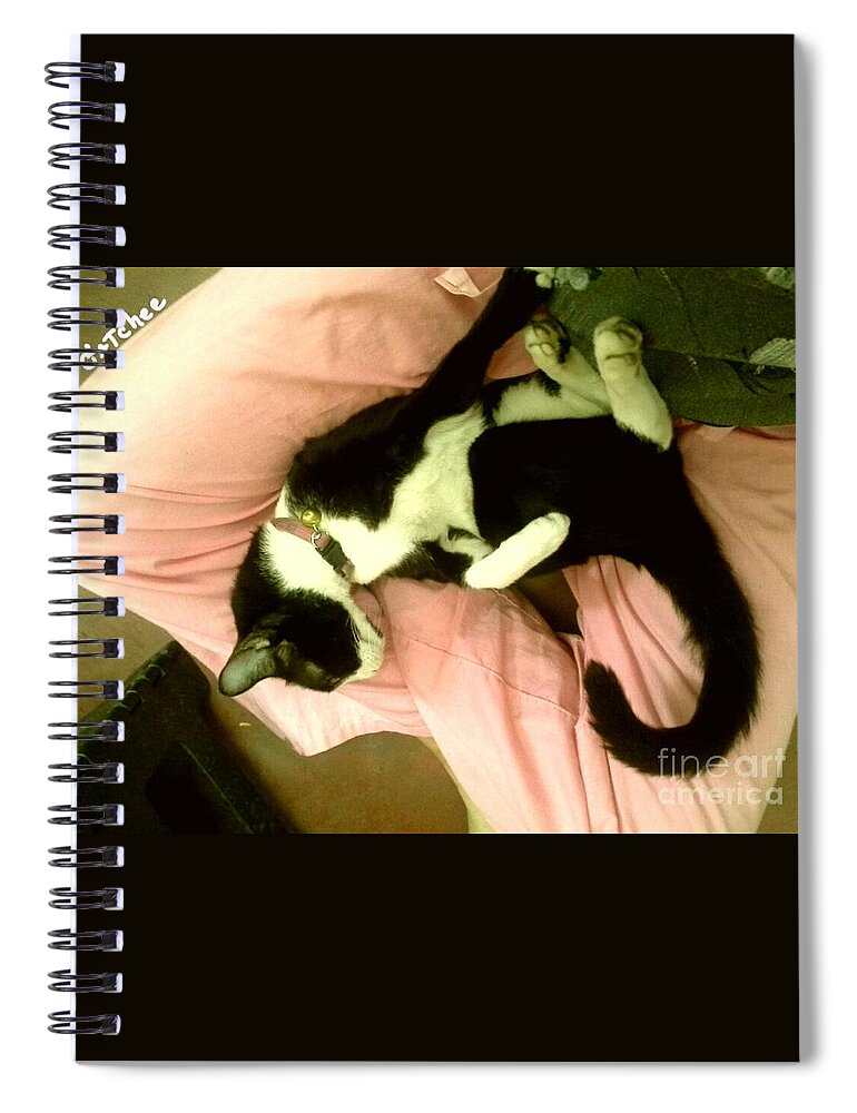 Cat Spiral Notebook featuring the photograph On A Lap by Sukalya Chearanantana