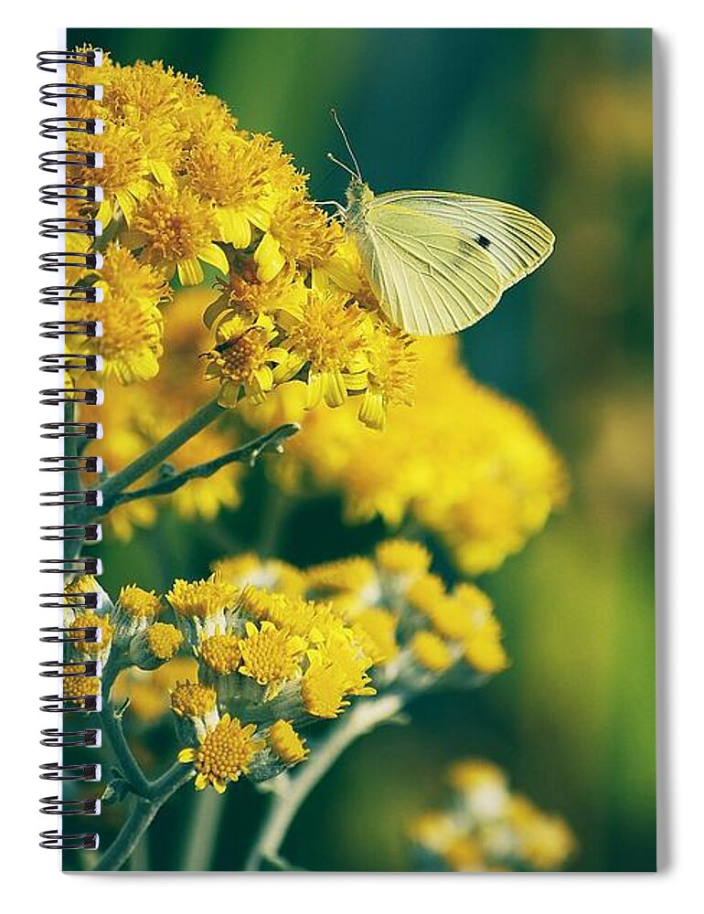 Flowers Spiral Notebook featuring the photograph On A Warm Summer Day by Angie Tirado