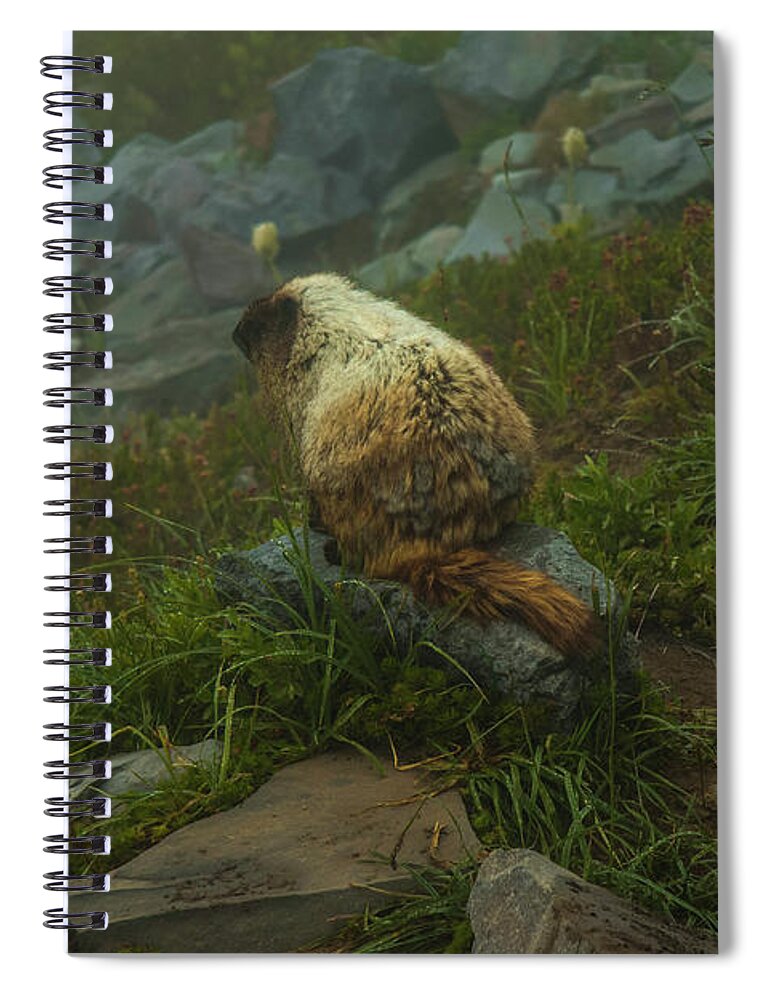Mount Rainier Spiral Notebook featuring the photograph On Lookout by Doug Scrima