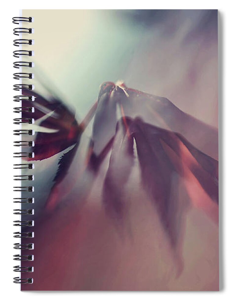 Jenny Rainbow Fine Art Photography Spiral Notebook featuring the photograph On Strong Wings of Love by Jenny Rainbow