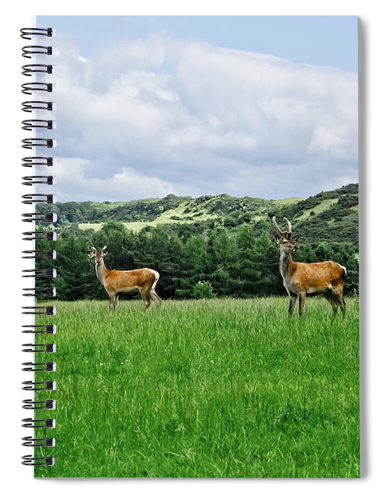 Beecraigs Spiral Notebook featuring the photograph On the alert. by Elena Perelman